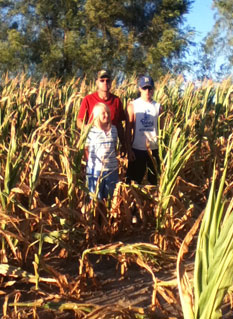 Photo of a father and his two children standing in a corn field damaged by drought.