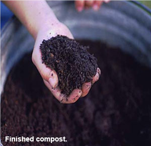 Image of finished compost