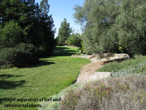 Image of landscape beds