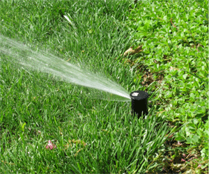 Image of lawn irrigation head